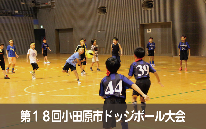 第１８回小田原市ドッジボール大会