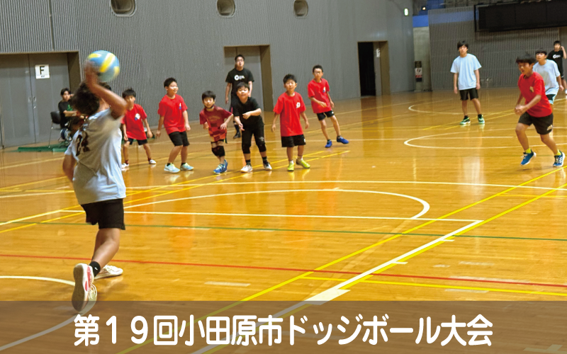 第19回小田原市ドッジボール大会